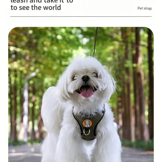 Pet Harness Leash Combo for Small Dogs, Bichon Frise Walk Rope, Anti-Slip Dog Lead, Swivel Leash, Comfortable Chest Strap, Ideal for Daily Use