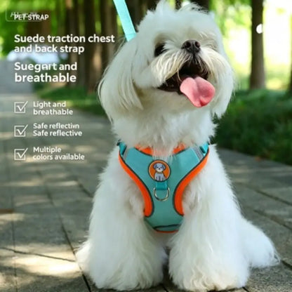 Pet Harness Leash Combo for Small Dogs, Bichon Frise Walk Rope, Anti-Slip Dog Lead, Swivel Leash, Comfortable Chest Strap, Ideal for Daily Use